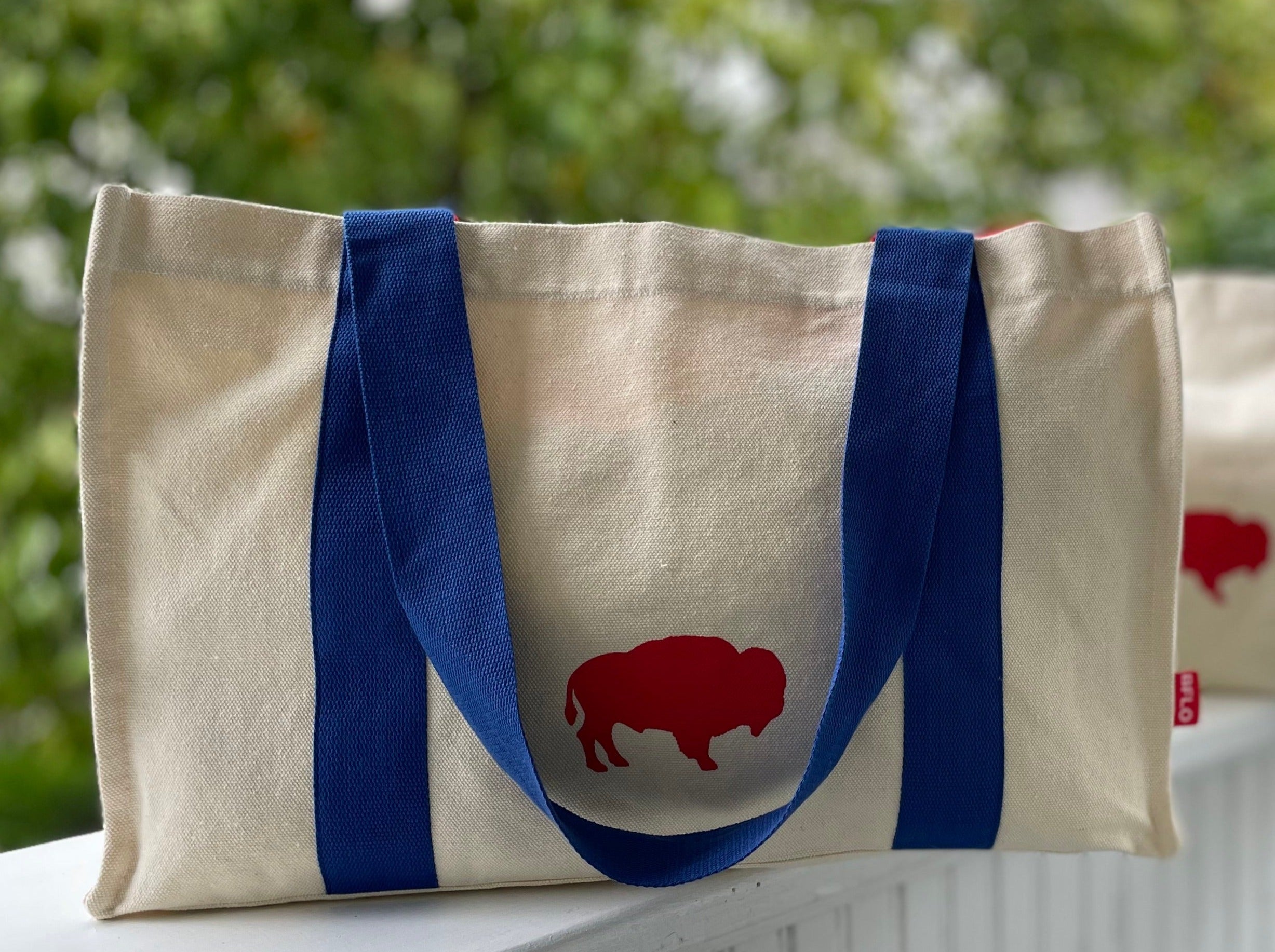 Reusable Buffalo Bills Photo Print Bag – The BFLO Store